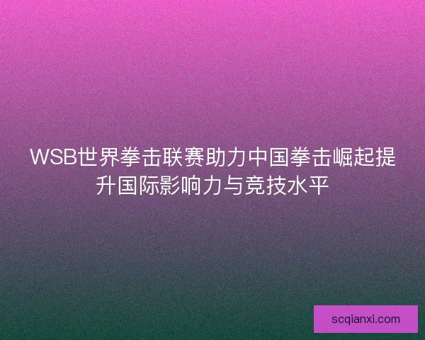 WSB世界拳击联赛助力中国拳击崛起提升国际影响力与竞技水平