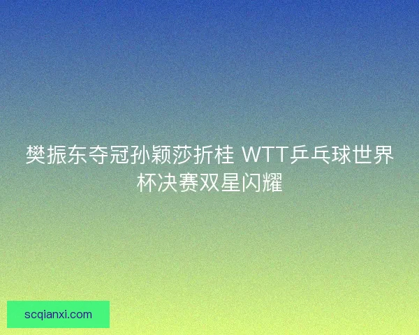 樊振东夺冠孙颖莎折桂 WTT乒乓球世界杯决赛双星闪耀