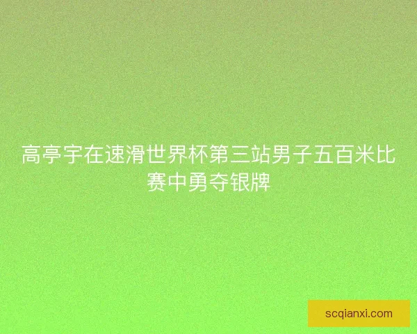 高亭宇在速滑世界杯第三站男子五百米比赛中勇夺银牌